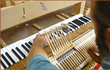 Boston Piano - Piano Interior
