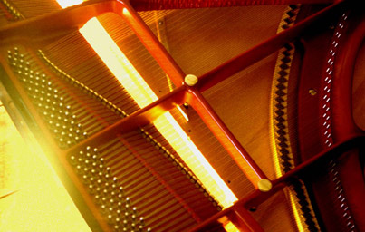 MA piano tuning - Photo illustrating Tone Balance